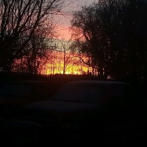 Meet your Posher, Guadalupe